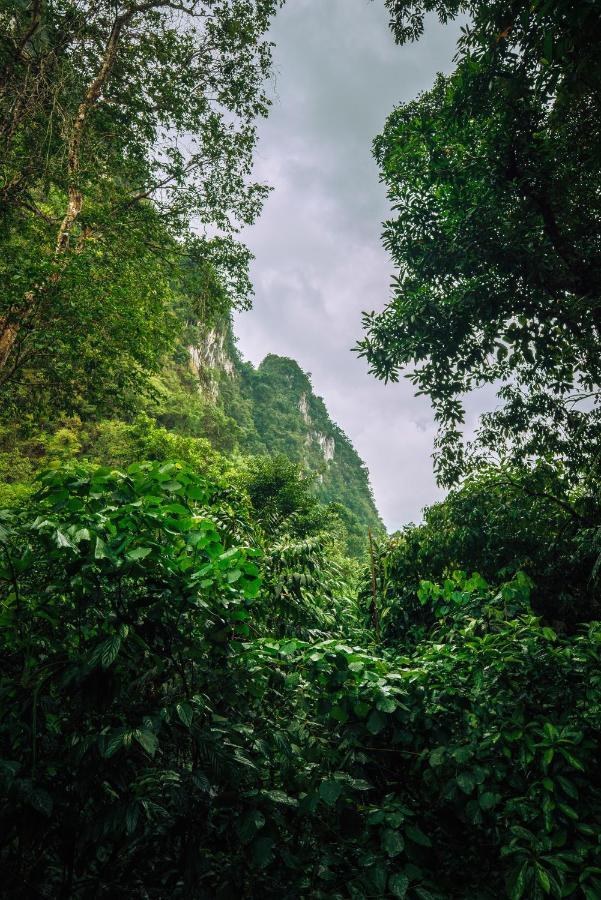 Hotel Our Jungle House Khao Sok National Park Exterior foto