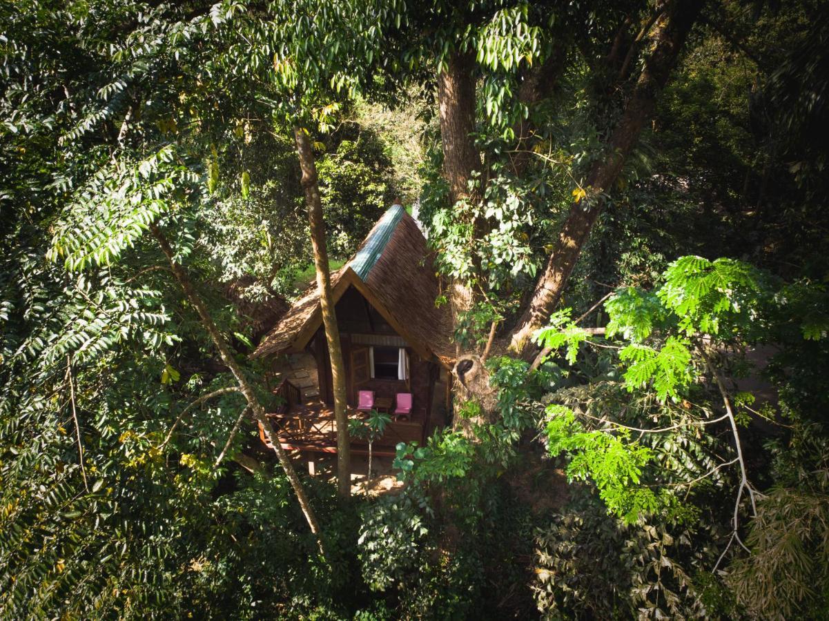 Hotel Our Jungle House Khao Sok National Park Exterior foto
