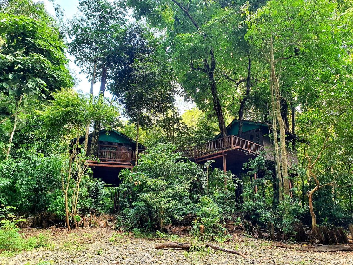Hotel Our Jungle House Khao Sok National Park Exterior foto