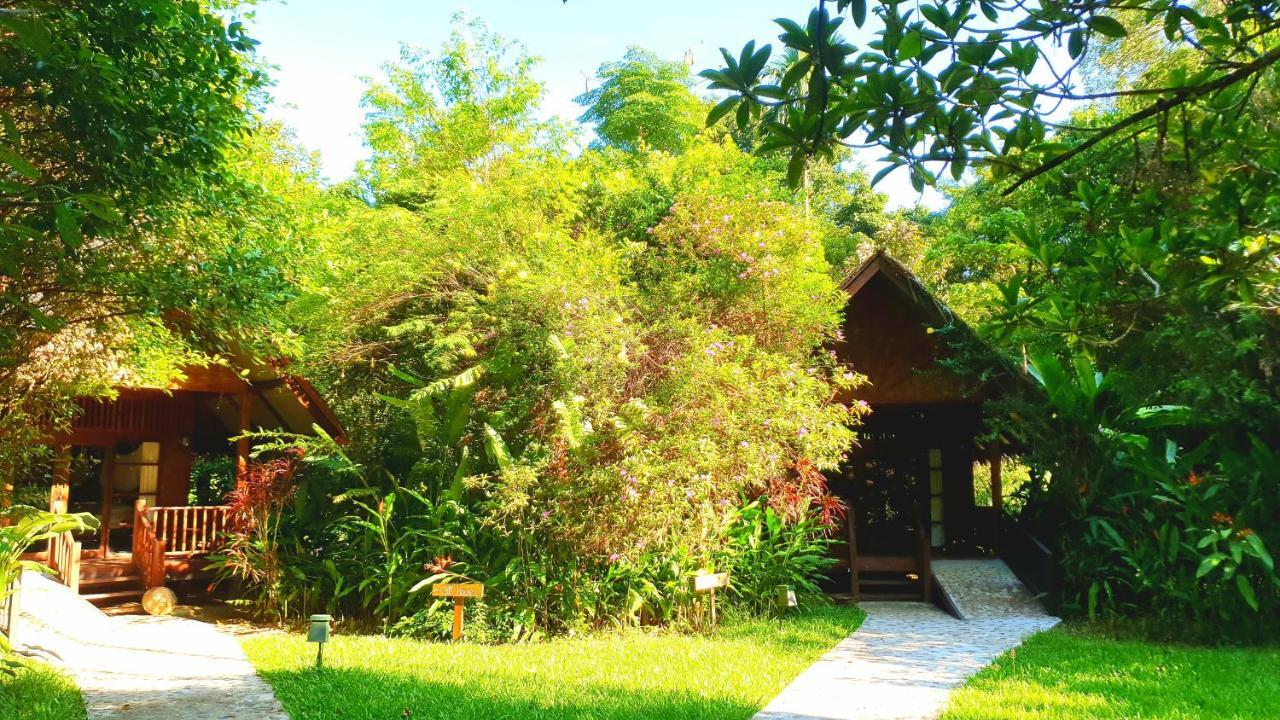 Hotel Our Jungle House Khao Sok National Park Exterior foto
