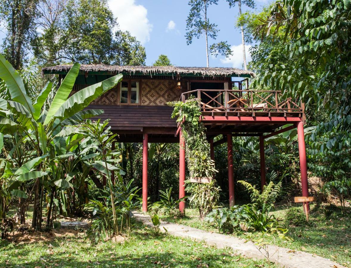 Hotel Our Jungle House Khao Sok National Park Exterior foto